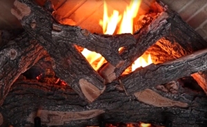 Weathered Oak 2 Burner 24 inch