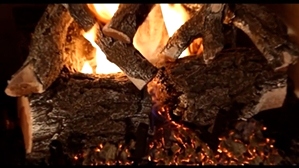 Weathered Oak Charred 2 burner 30 inch Logs