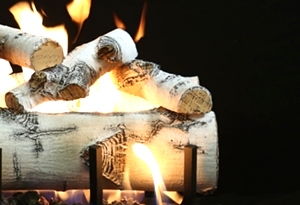 Quaking Aspen 18 Inch Log Set