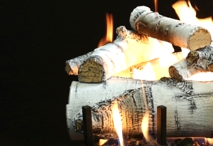 Quaking Aspen 18 Inch Log Set