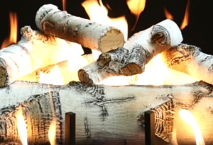 Quaking Aspen 18 Inch Log Set