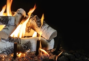 Quaking Aspen 18 Inch Log Set