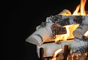 Quaking Aspen 18 Inch Log Set