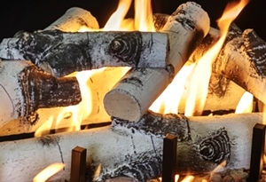 Quaking Aspen 18 Inch Log Set