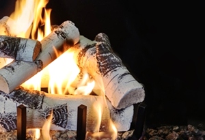 Quaking Aspen 18 Inch Log Set