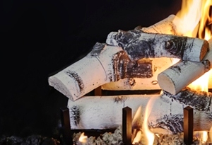 Quaking Aspen 18 Inch Log Set