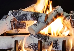 Quaking Aspen 18 Inch Log Set