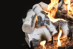 Quaking Aspen 30 Inch Log Set