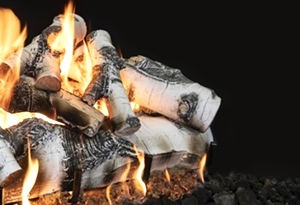 Quaking Aspen 30 Inch Log Set