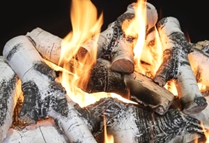 Quaking Aspen 30 Inch Log Set