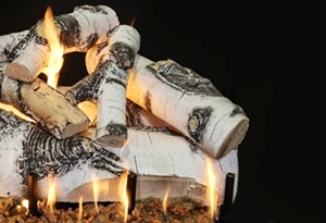 Quaking Aspen 30 Inch Log Set