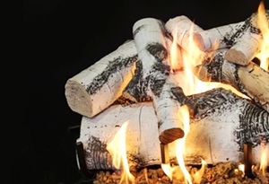 Quaking Aspen 30 Inch Log Set