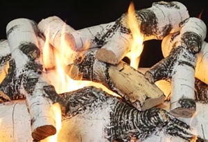 Quaking Aspen 30 Inch Log Set