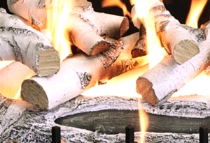 Quaking Aspen 36 Inch Log Set