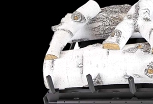 Quaking Aspen See Through 8 Log Setv