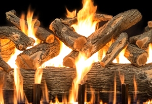 48 INCH VENTED GRAND CANYON WEATHERED OAK LOG SET