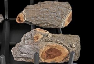 See Through Weathered Oak Charred 2 Burner 24 inch 4 Log Set