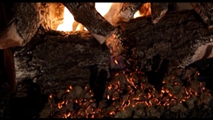 WEATHERED OAK CHARRED 2 BURNER 24 INCH LOGS