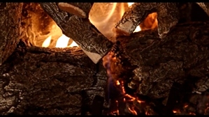 WEATHERED OAK CHARRED 2 BURNER 30 INCH LOGS