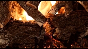 WEATHERED OAK CHARRED 2 BURNER 36 INCH LOGS