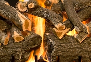 WEATHERED OAK CHARRED 2 BURNER 42 INCH LOGS